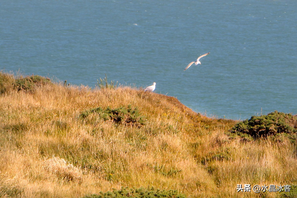 英国之行伦敦,英国剑桥游