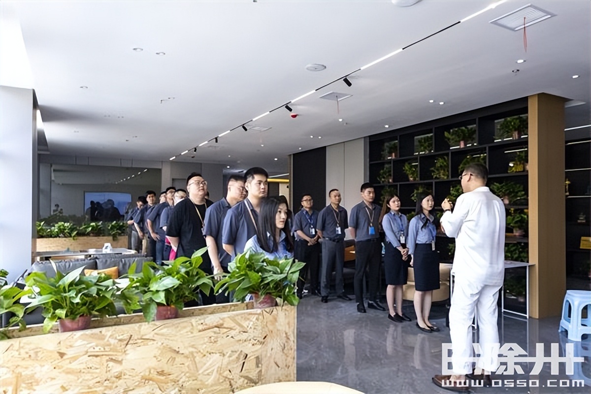 滁州金螳螂家装靠谱吗,滁州装修公司金螳螂