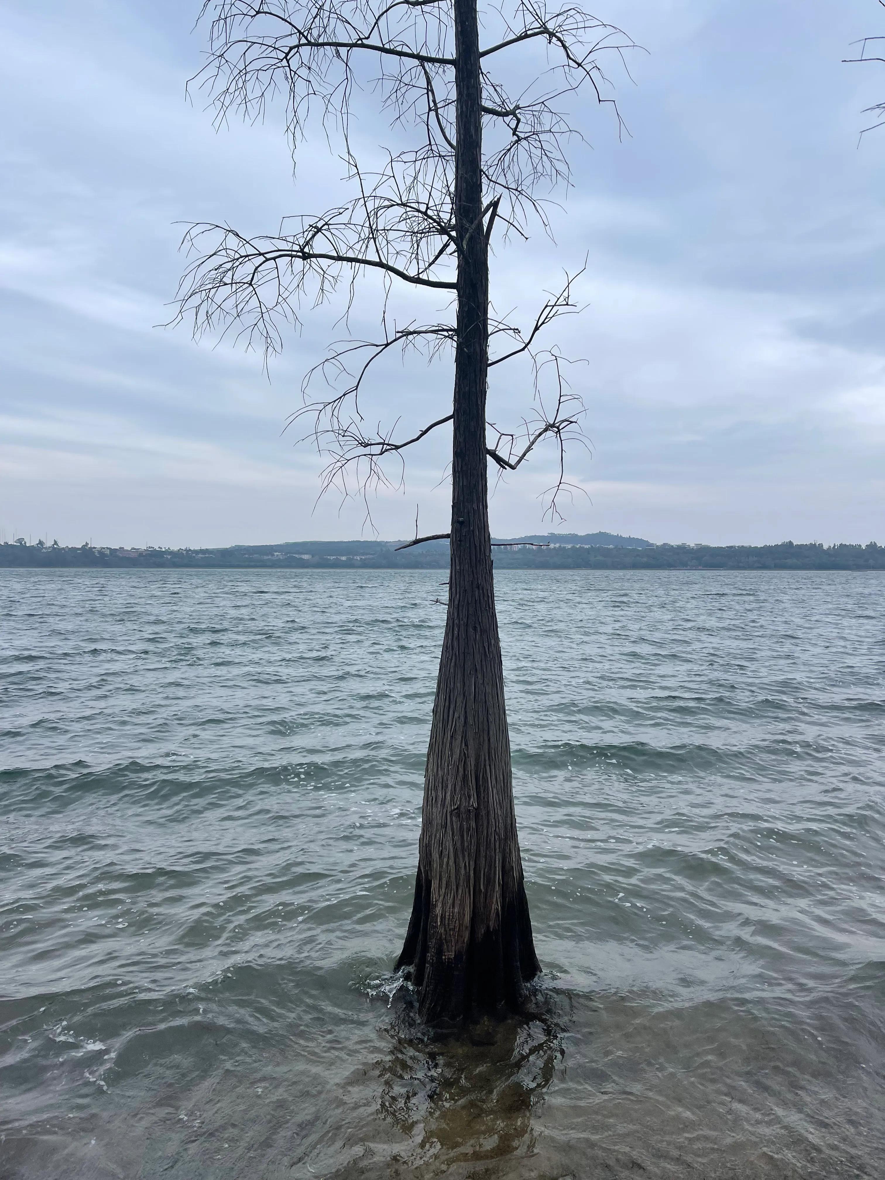 云南旅居养老最好的地方,海南旅居养老基地排前十名