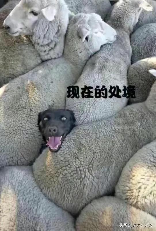 确诊新冠症状亲身经历,中度新冠肺炎治愈后的症状