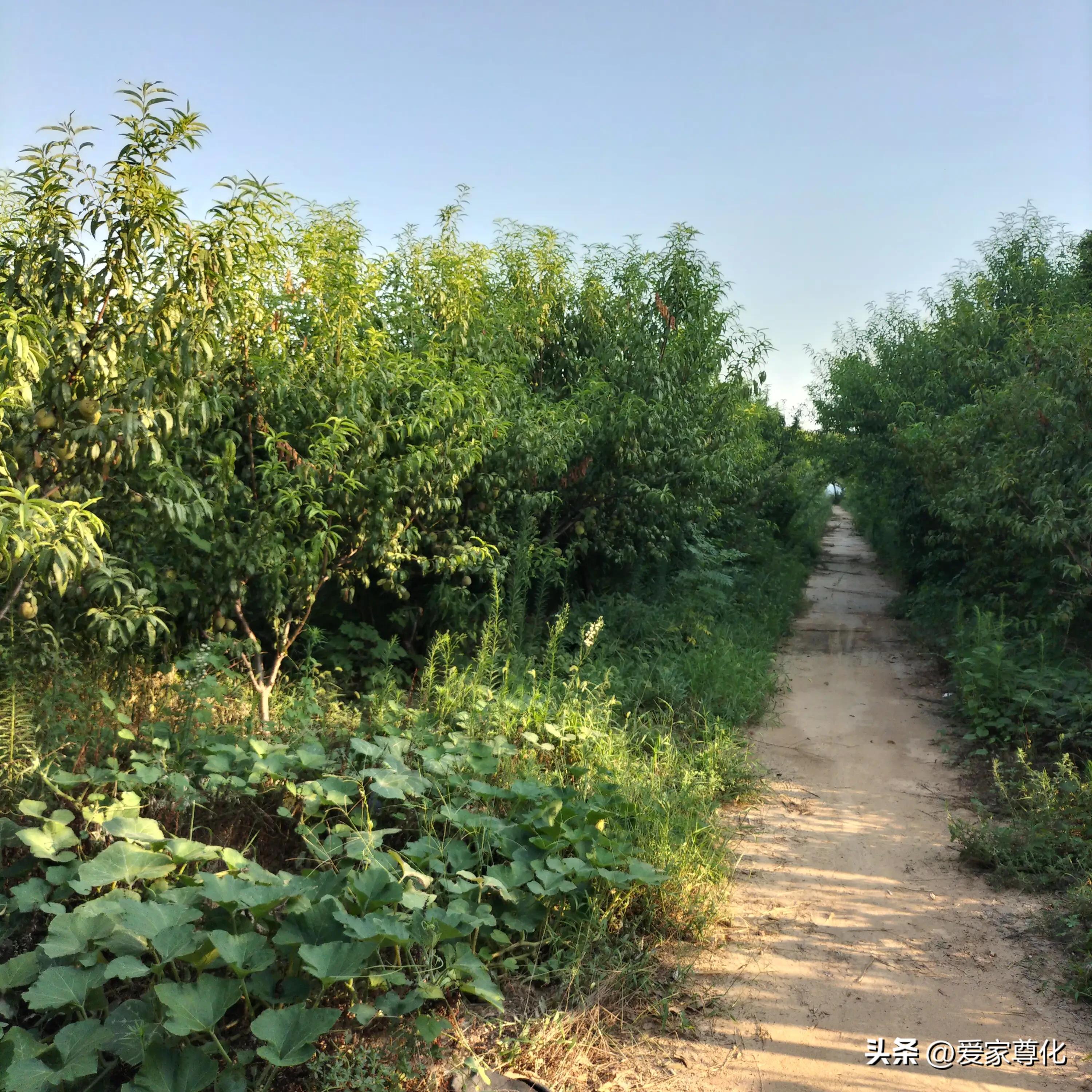 记录我的2023年旅行,记录2023年我的旅行生活