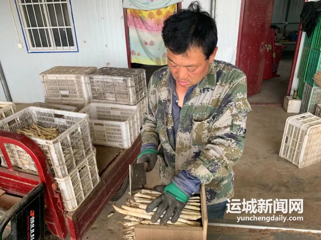 姘告祹鑺︾瑡,姘告祹鑺︾瑡鐜扮姸