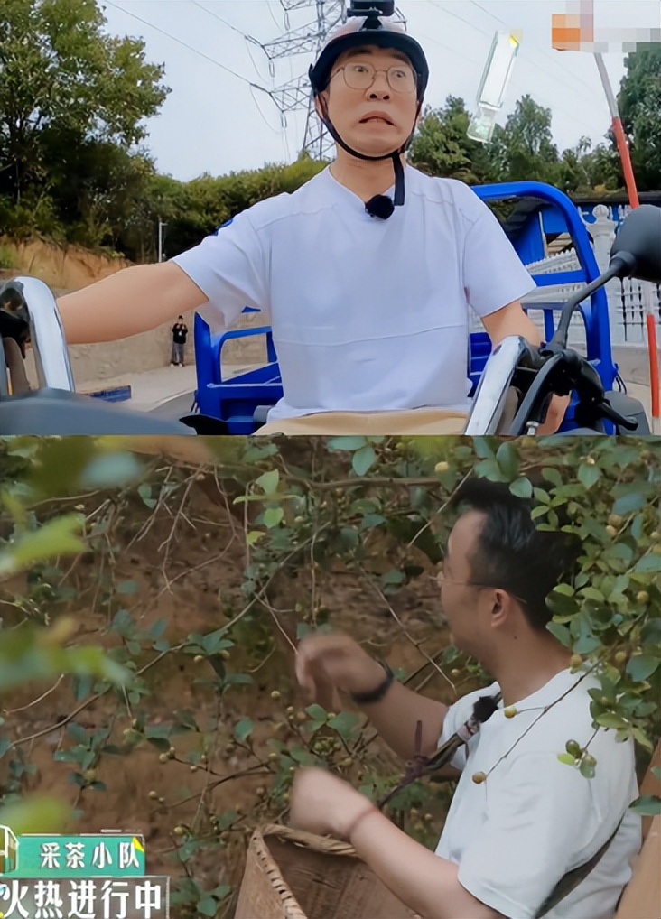 汪涵套路杨迪完整版,汪涵杨迪综艺节目有什么