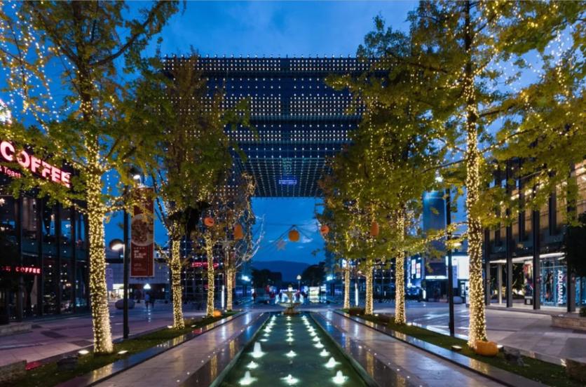 昆明旅行最值得打卡的十大景点,昆明周边湿地公园网红打卡地