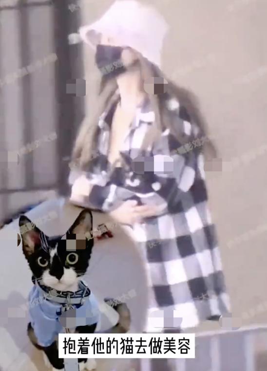 李振宁unine谈恋爱,unine李振宁抖音直播