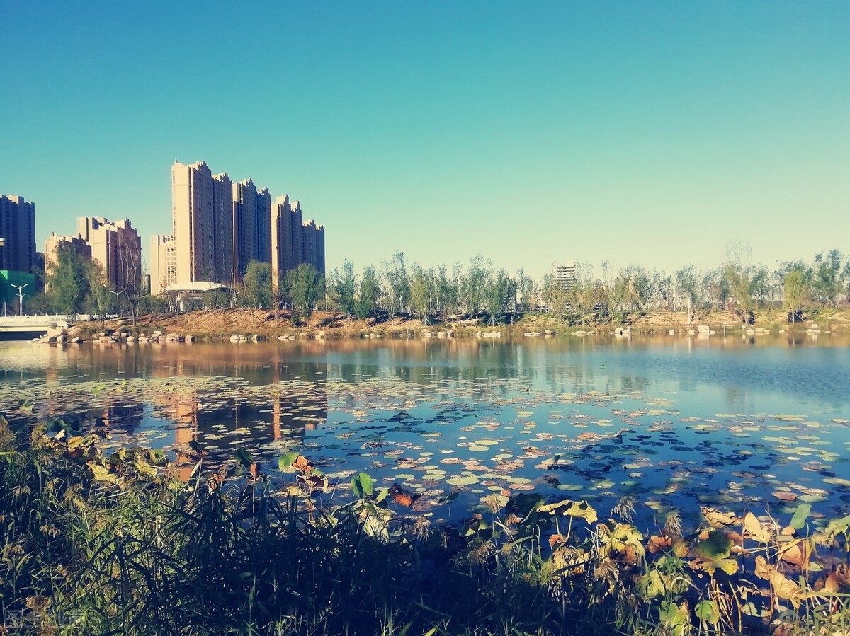 新乡哪个县城最有潜力,新乡哪个县城发展最好