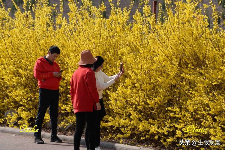 北京近郊春景,济南近郊春景
