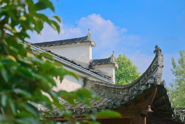 谋生赚钱和养生的能力,人生要先学会挣钱再学会养生