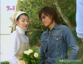 薰衣草从零开始,薰衣草诠释爱情