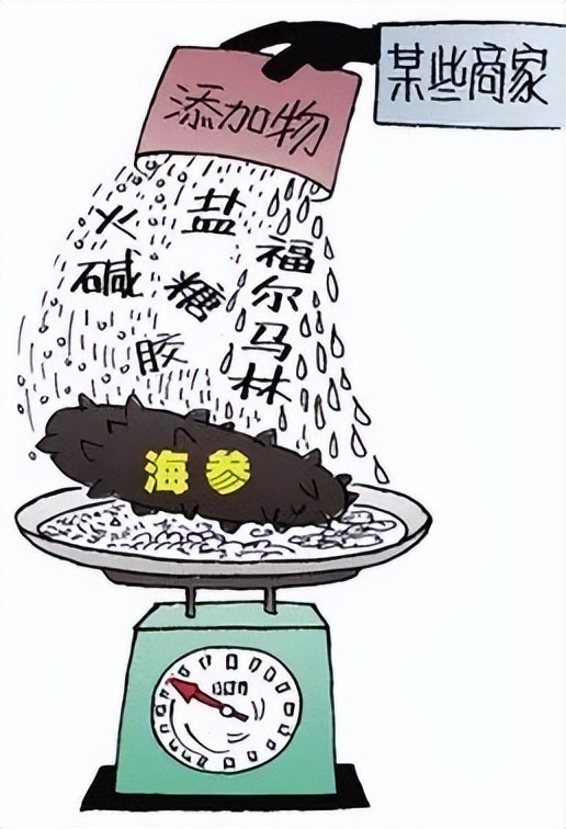 用海参下脚料造假海参 (造假的海参和真海参)
