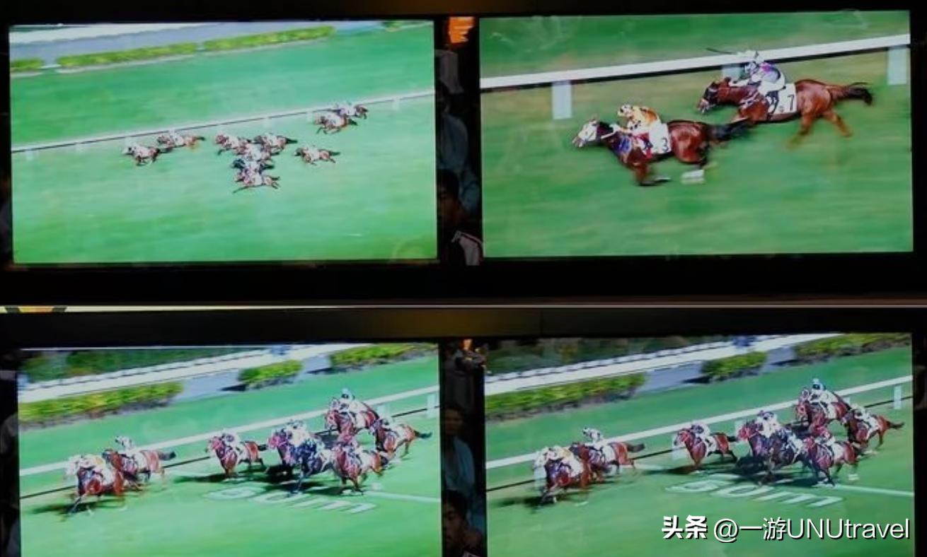 你了解香港赛马吗?这篇文章告诉你怎么去赛马会玩!