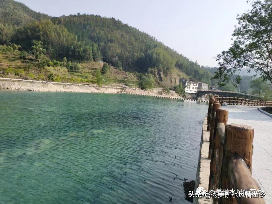 【2022年工作亮点展示】乡镇系列第一组：融水、永乐、和睦、四荣、香粉、怀宝、三防、汪洞、同练、滚贝