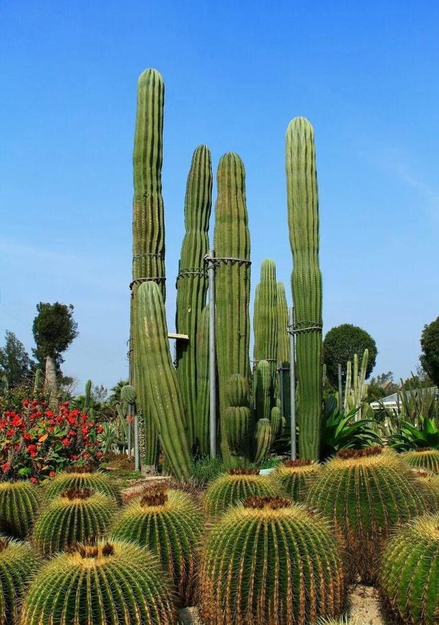 福建风景厦门,厦门风景福州风景