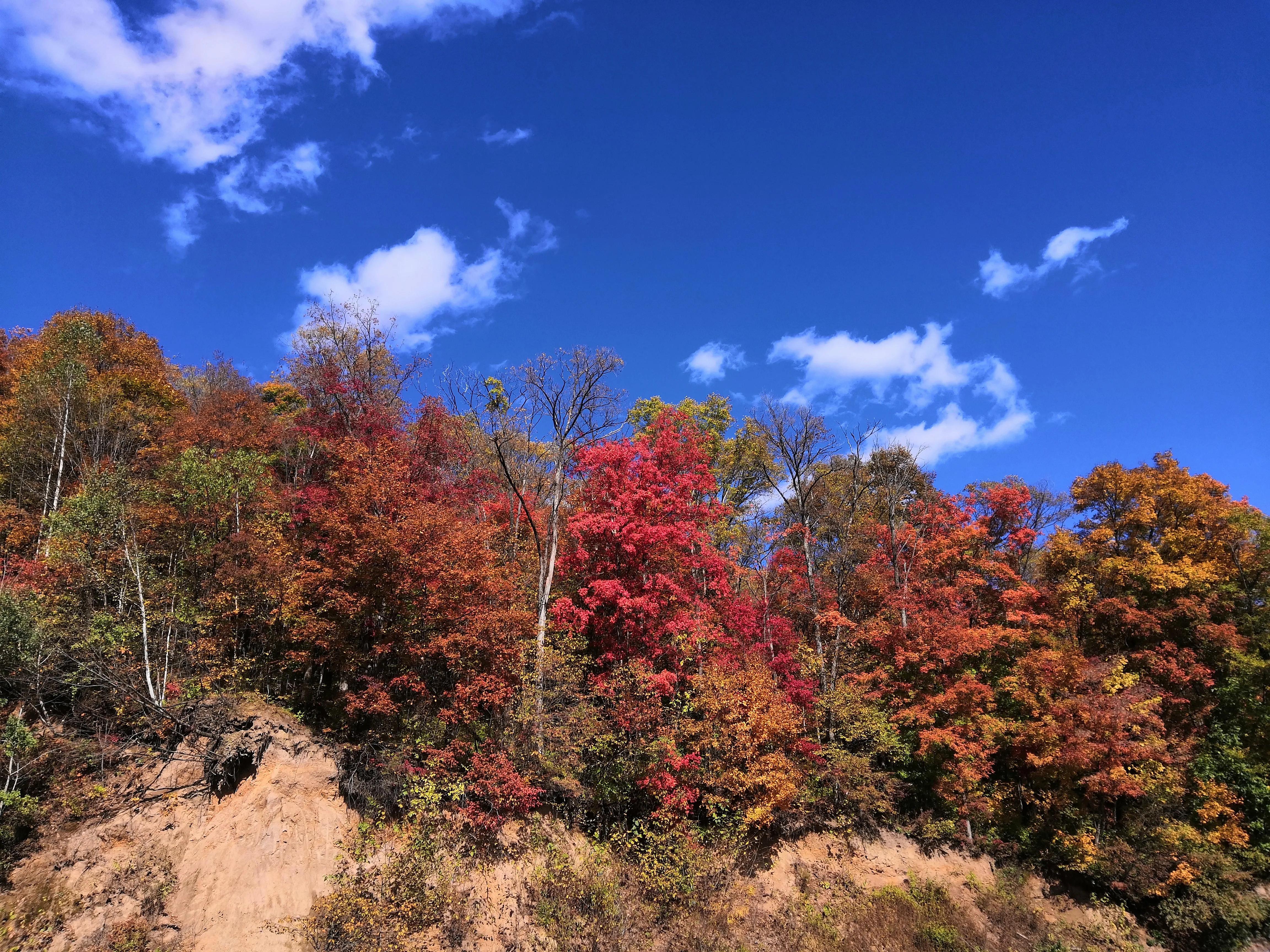 平心静气去拜道观还是寺庙,平心静气放松