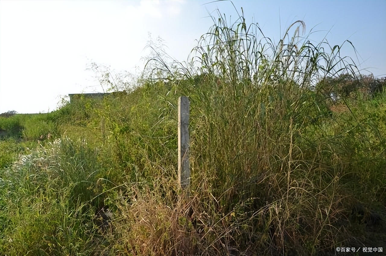 还原古洞历史,揭秘千年神秘古洞的故事