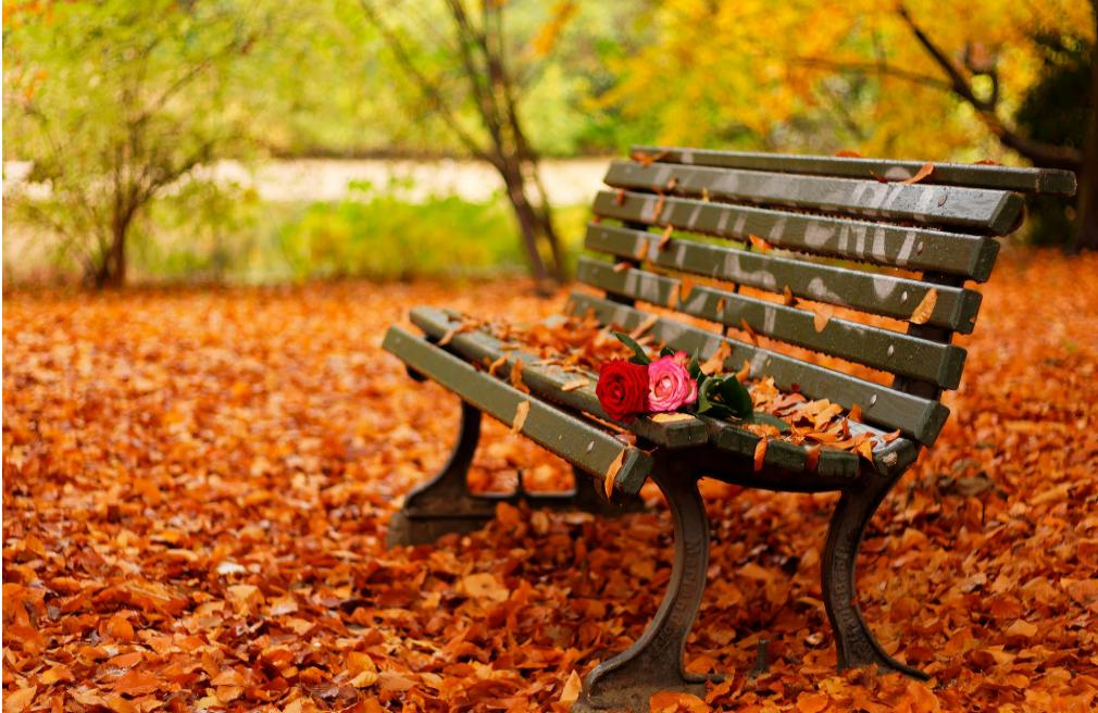 独身生活难道错了？一张无人签字的手术单，让她惊觉自己真的老了