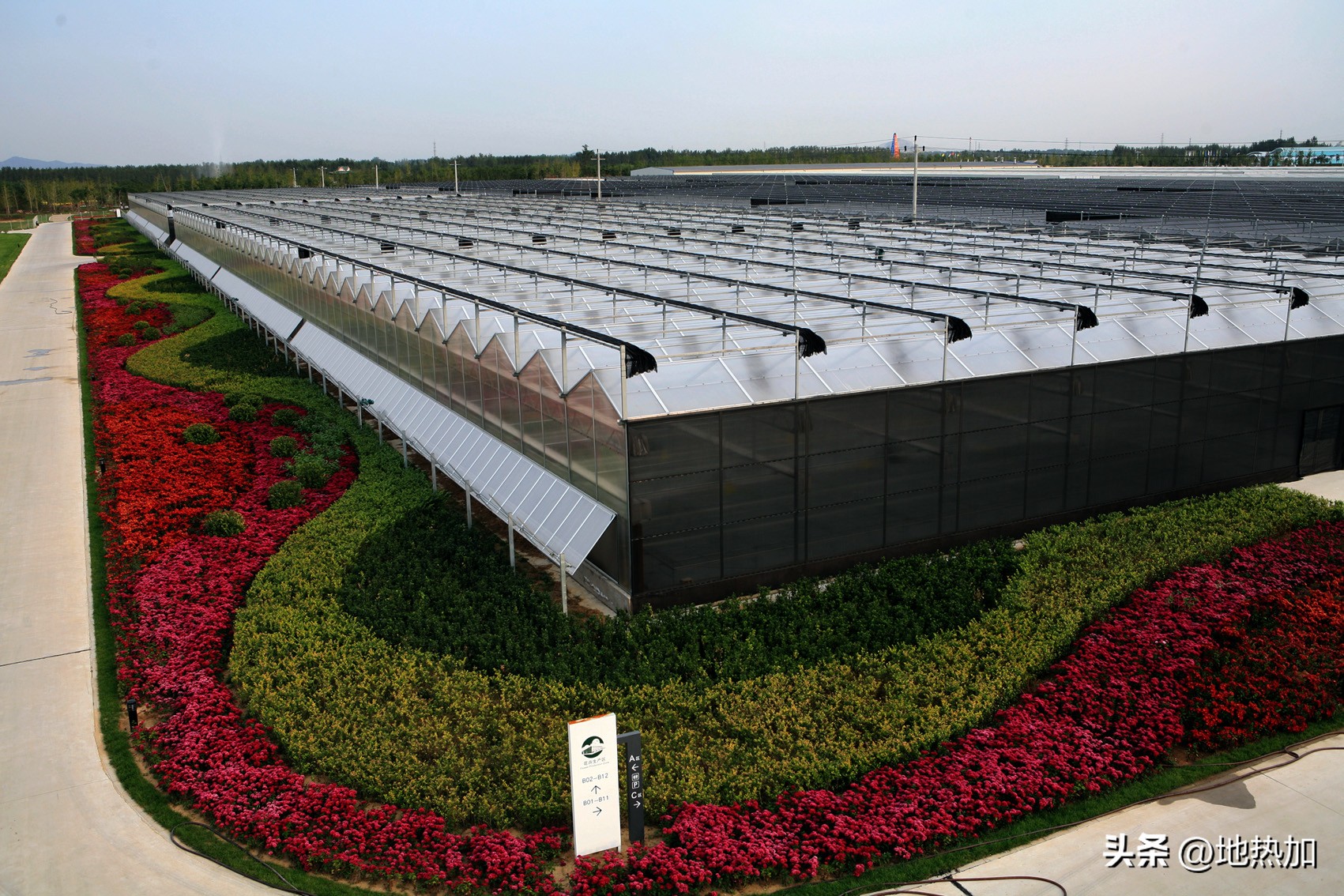 华清荣益王小健：期待豹变