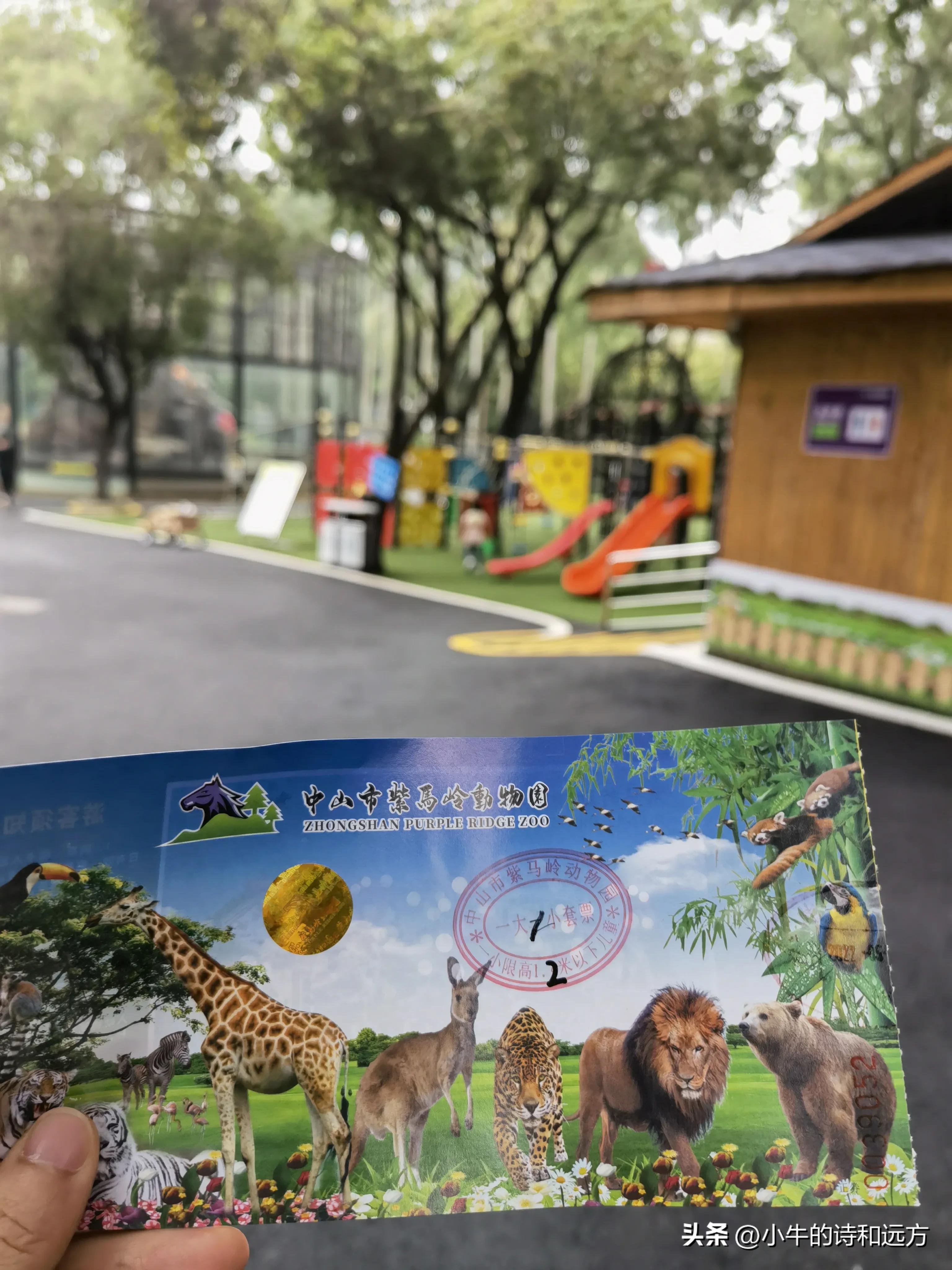 溜娃好去处就在紫谷萌宠乐园,青龙湖湿地公园遛娃攻略