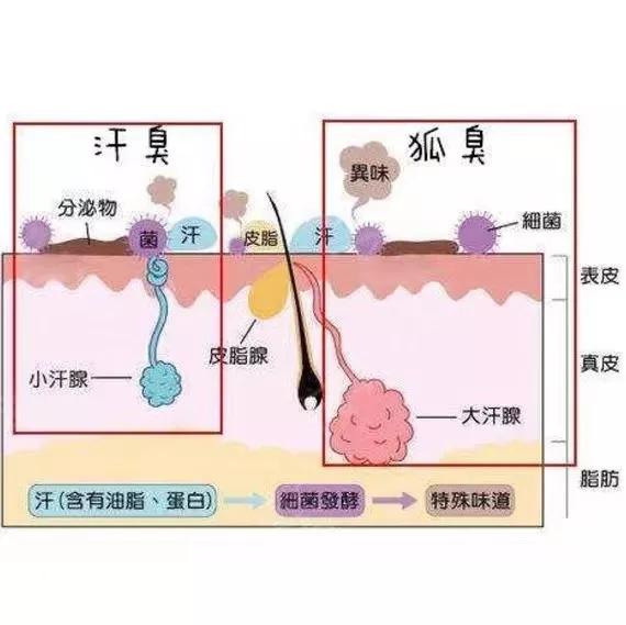 止汗露去哪里买好,如何挑选一款好的止汗露