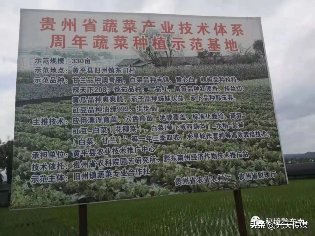 丹寨县营养餐配送,黄平县学生营养餐