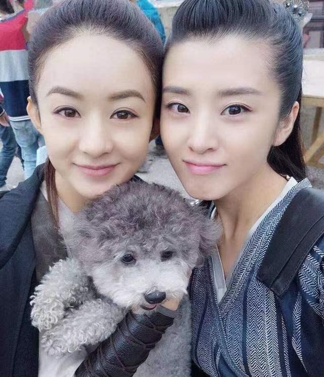 赵丽颖冯绍峰离婚后首度同框视频,赵丽颖和冯绍峰离婚的真正原因