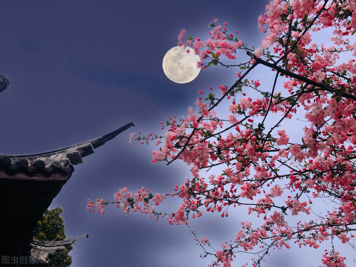 赏月也是一种享受,赏月用什么赏