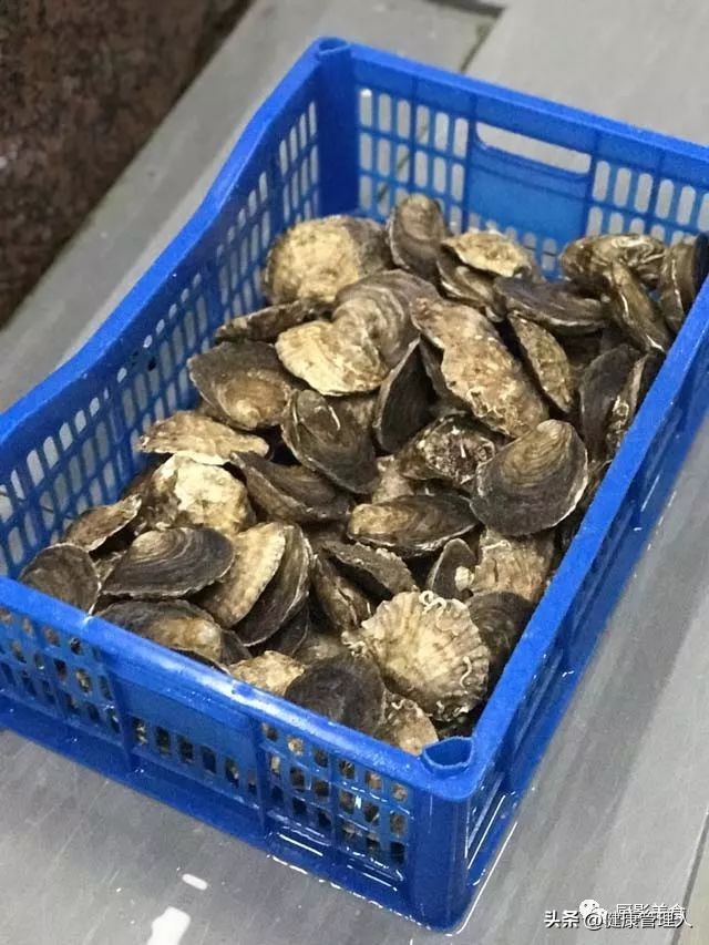 海鲜贝类品种大全及名字,22种海鲜贝类做法大全