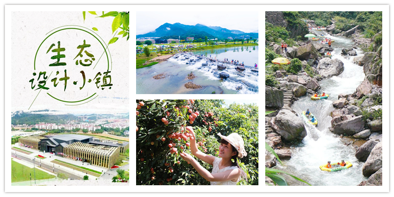 从化荔枝园采摘攻略,从化冬季旅游好去处