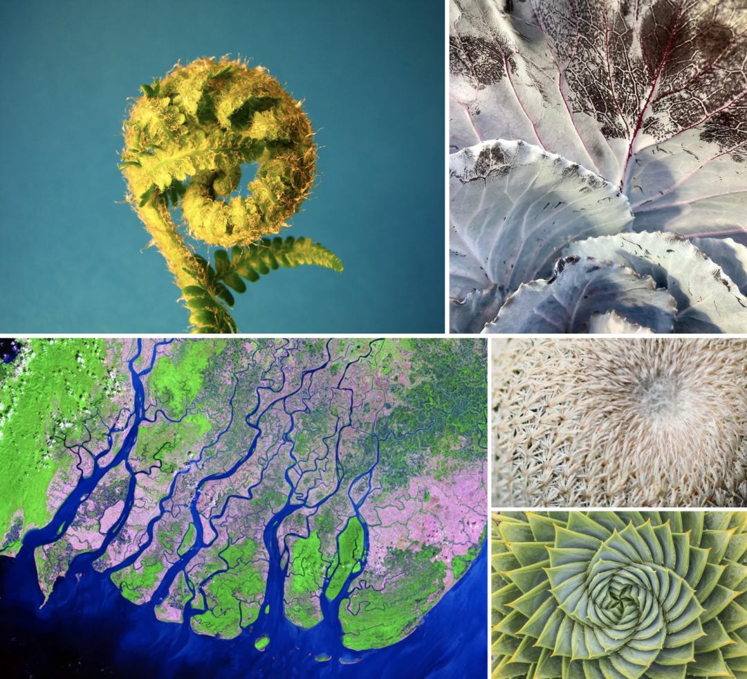 从量子到星空：混沌世界的隐藏秩序