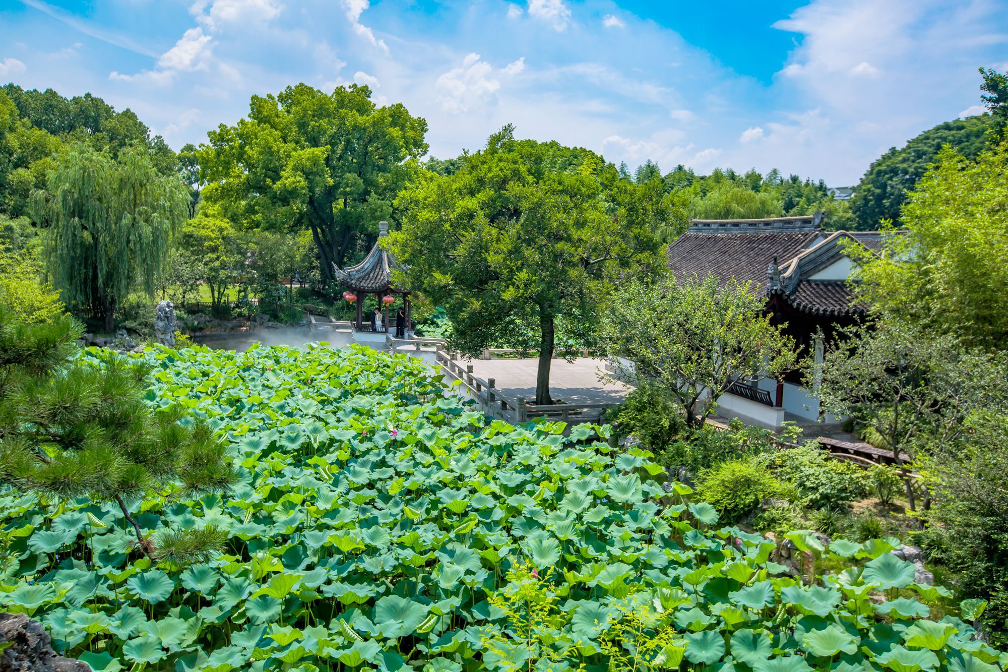 上海有几个古猗园,上海古猗园好玩吗