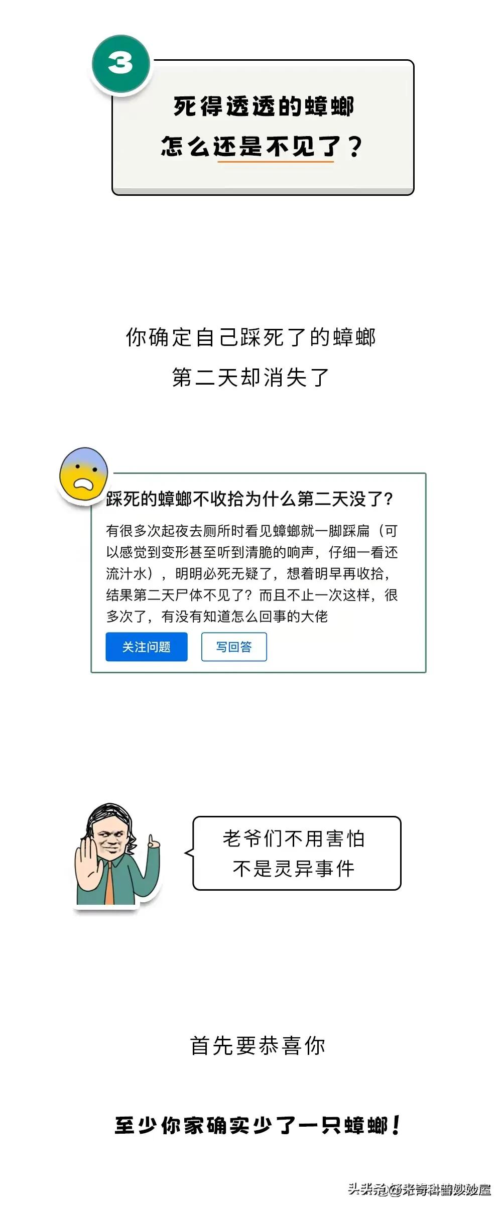 奇怪的冷知识甲虫,奇怪的冷知识火体虫