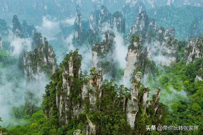 福州去长沙张家界凤凰古城攻略,张家界凤凰古城芙蓉镇自驾游攻略