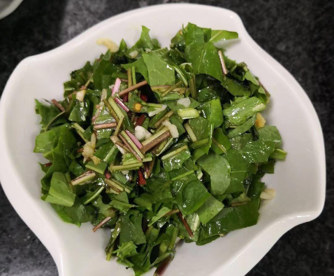 药草皇后蒲公英泡水竟然能抗癌,蒲公英十大功效