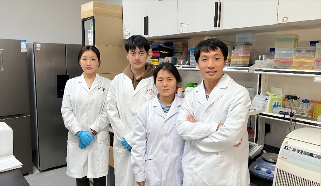 博士如何申请独立实验室,90后博士拒绝45万年薪