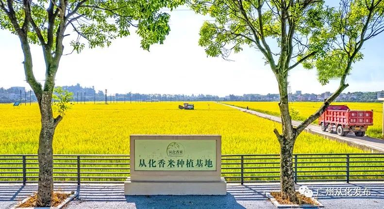 从化乡村振兴历程,从化太平百千万工程