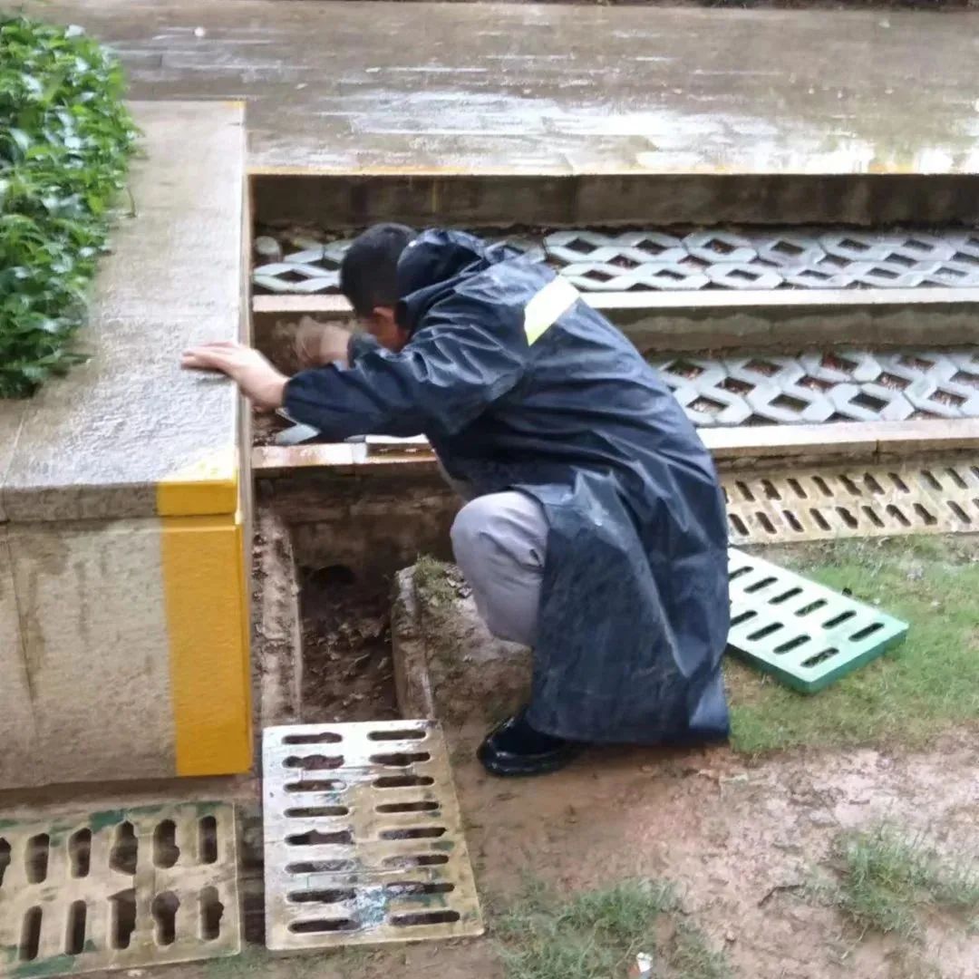 远洋物业青岛,远洋物业简介