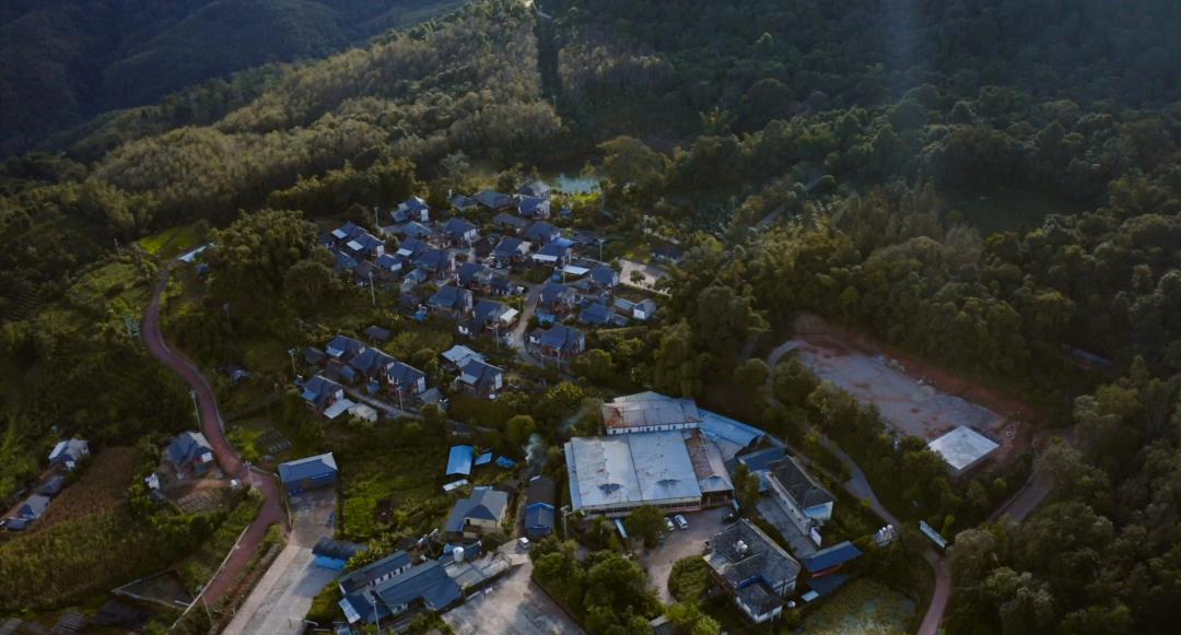 80后的他在云南教人种咖啡10年，终于让全世界看到