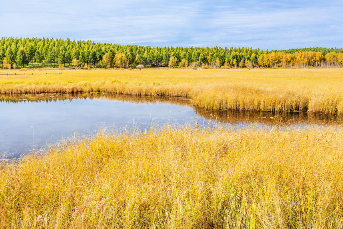 秋天的思念感悟,秋天的思念钢琴曲