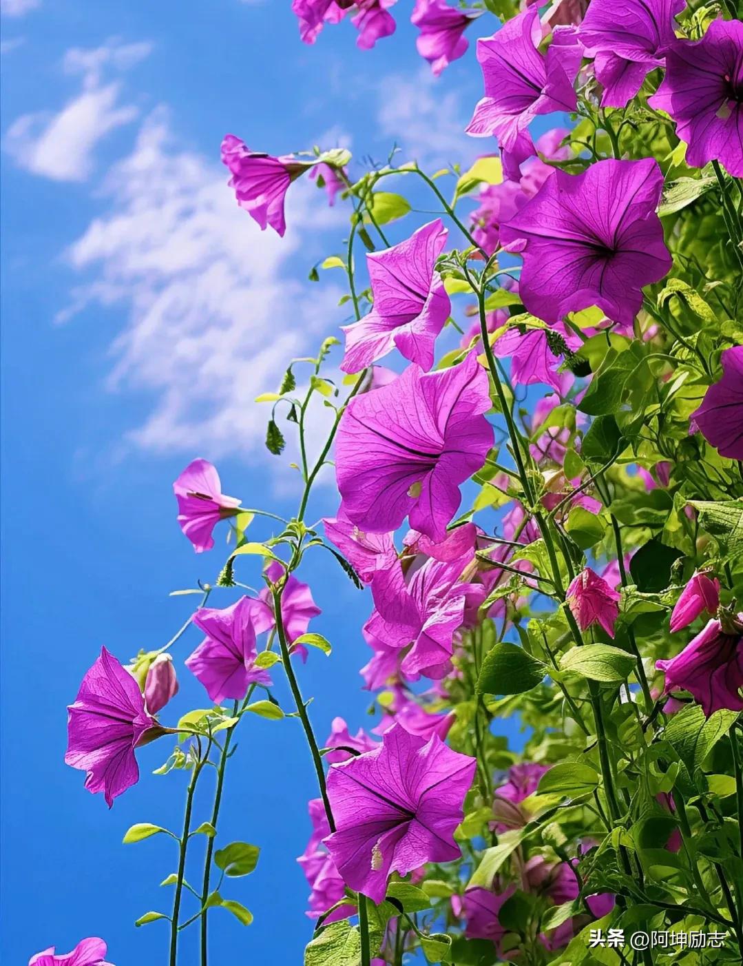 如何治愈心理受过的伤,如何治愈背叛出轨带来的心灵创伤