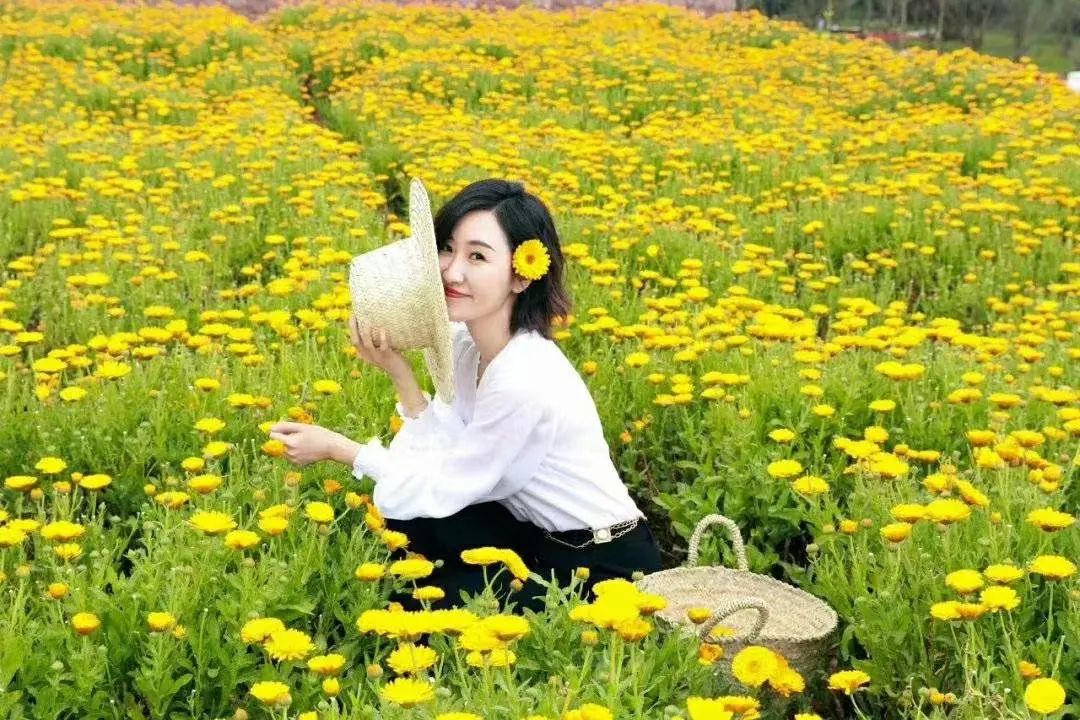 淄博春天赏花,淄博赏花时间表