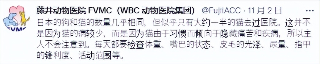 兽医讲解猫生病,聊聊猫咪常见疾病