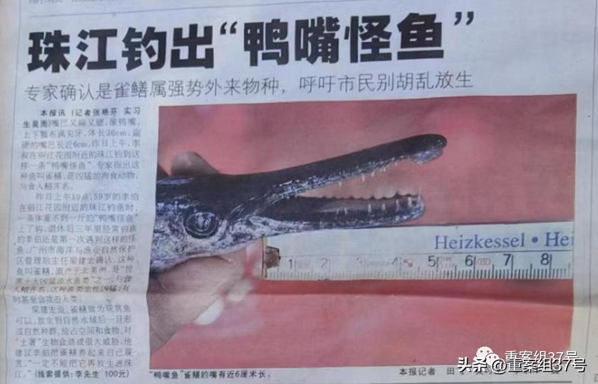 槌勯泙槌濊瀹氫负澶栨潵鐗╃,槌勯泙槌濊缃戝簵鎹㈠悕鍞崠