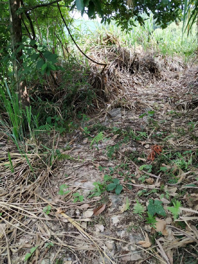 郴乐古道之水头江宜乐古道--广东省乐昌市庆云镇