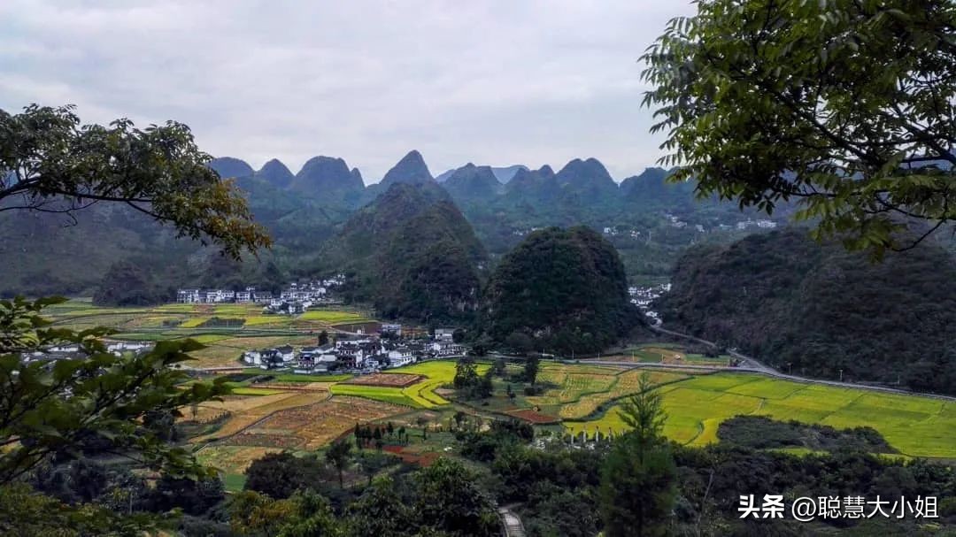 贵州兴义万峰林油菜花盛开时期,贵州兴义风景区万峰林