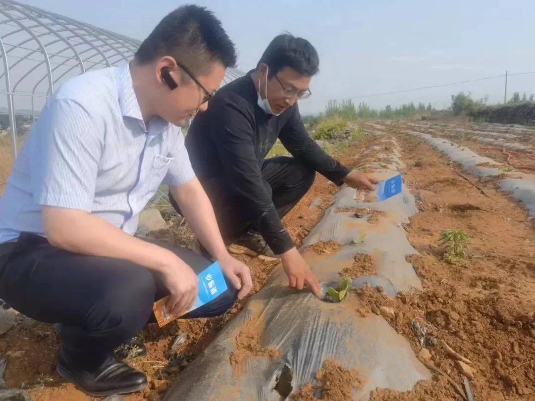 绾夸笂鍔炶捶鍜屾棤绾稿寲鍔炶捶,绾夸笂鍔炶捶妯″紡