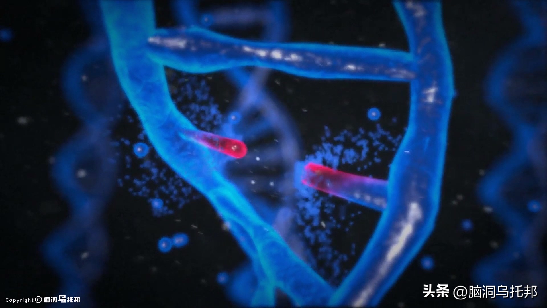 无症状感染是因为体质差吗,为什么有的人感染症状轻