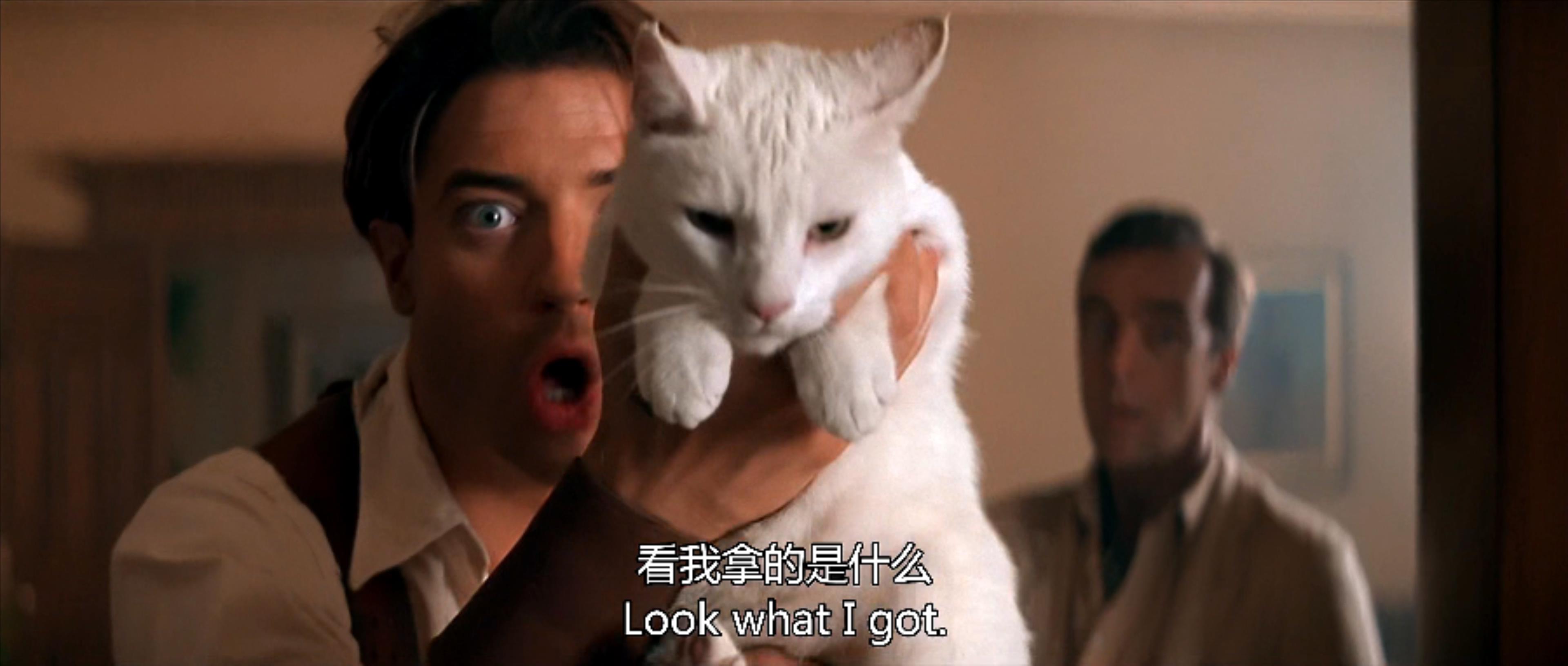 圣甲虫吃掉木乃伊,可怕的木乃伊圣甲虫