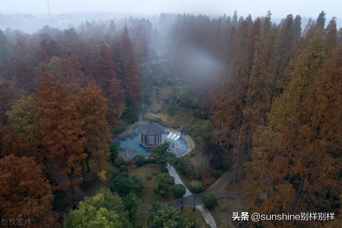 宿迁市区真的好吗,江苏宿迁是一座神奇的城市