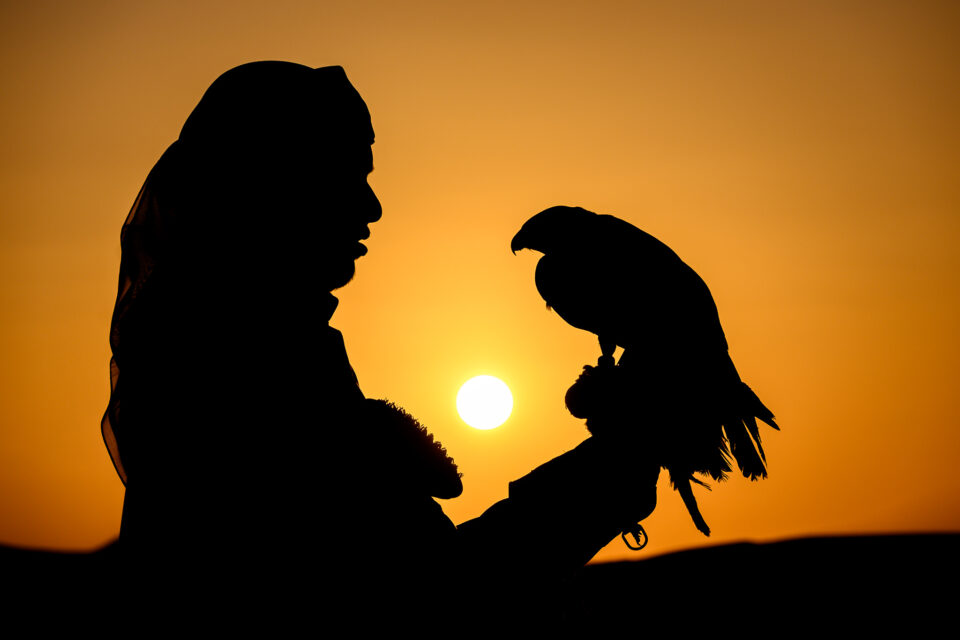 选择一款适合你的尼康相机,新手买什么尼康单反相机好