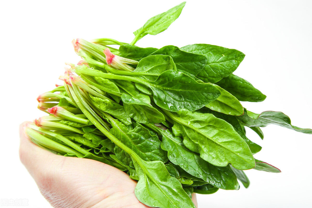 原来这些东西不能混吃,为什么鸡血不能给宝宝吃